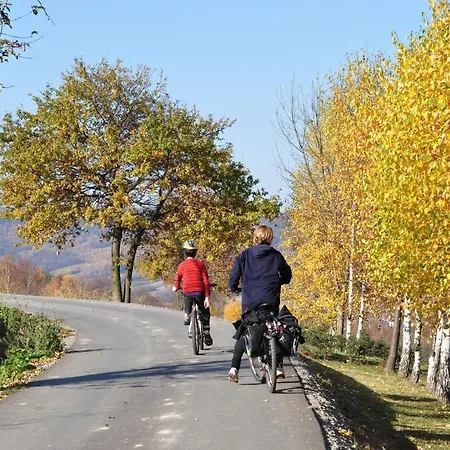 Oda ve Kahvaltı Zagroda Na Pacanach 3*