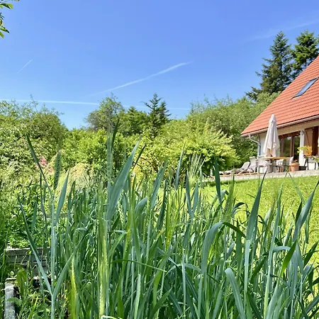 Bed & Breakfast Zagroda Na Pacanach