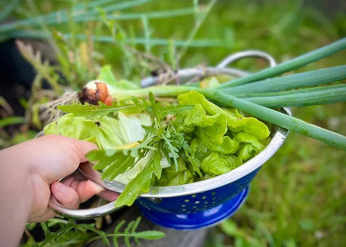 Zagroda Na Pacanach Nocleg ze śniadaniem