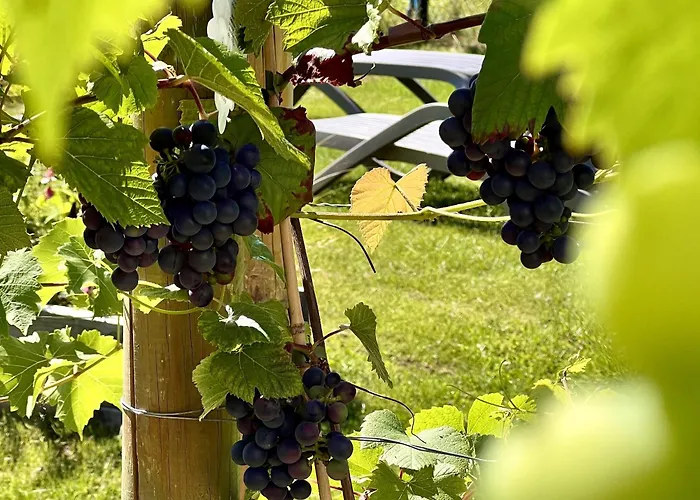 Nocleg ze śniadaniem Zagroda Na Pacanach 3*