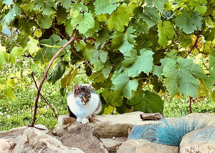 Zagroda Na Pacanach 3*