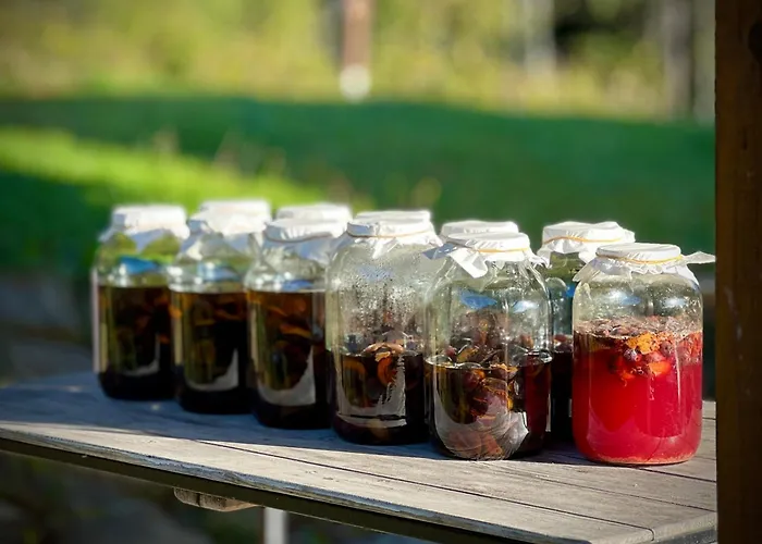 Zagroda Na Pacanach 3*